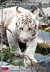 00566 (01) Malkia park Photo: © tygr bílý White tiger Panthera tigris var. alba