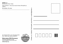 příklad rubové strany (č. od 00331) • example of back side (no. from 00331)