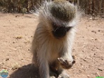 Birgitta Seegers, 12.08.2008