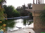 Omar Labidi, 25.07. 2008