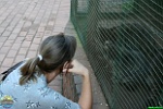 Nick Dijkstra, 15.06. 2008