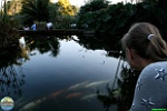 Nick Dijkstra, 15.06. 2008