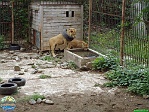 Sarah Weldon, 05.06. 2012