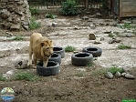 Sarah Weldon, 05.06. 2012