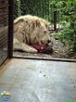 Sarah Weldon, 05.06. 2012