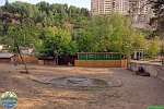 Sarah Weldon, 05.06. 2012