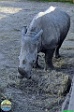 Sarah Weldon, 05.06. 2012