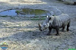 Sarah Weldon, 05.06. 2012