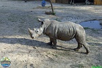 Sarah Weldon, 05.06. 2012