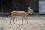 Alex Kantorovich, 04.05. 2012