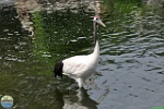 Alex Kantorovich, 22.08. 2015