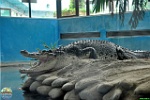 Alex Kantorovich, 22.08. 2015