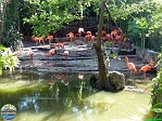 Sandi Jacques, 22.02. 2012