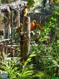 Sandi Jacques, 22.02. 2012