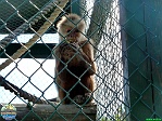 Sandi Jacques, 22.02. 2012