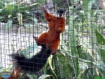 Sandi Jacques, 22.02. 2012