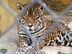 Sandi Jacques, 22.02. 2012