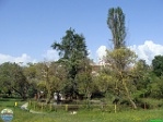 Mojmír Sedláček, 04.05. 2013