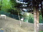 Brian King, 26.04. 2010