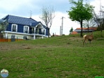 Brian King, 26.04. 2010