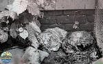 Petr Bednář, VII-1966