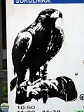 Roman Hynek, 10.06. 2012