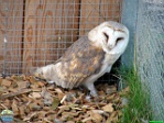 Roman Hynek, 30.08. 2012