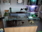 Roman Hynek, 16.08. 2011