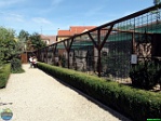 Roman Hynek, 11.08. 2011