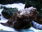 Roman Hynek, 28.01. 2011