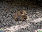 Roman Hynek, 14.08. 2011