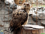 Roman Hynek, 31.08. 2012