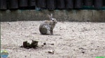 Roman Hynek, 01.06. 2011