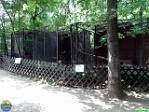 Roman Hynek, 01.06. 2011