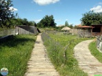 Roman Hynek, 02.07. 2020