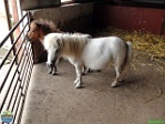 Roman Hynek, 09.08. 2014
