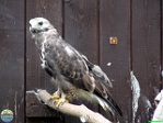 Roman Hynek, 28.09. 2012