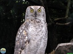 Alex Kantorovich, 22.06. 2007 Alex Kantorovich, 22.06. 2007