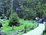 Roman Hynek, 21.08. 2008