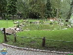 Roman Hynek, 21.08. 2008