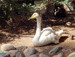 Roman Hynek, 25.07. 2018