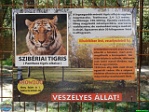 Roman Hynek, 02.08. 2010