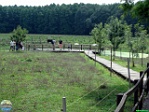 Roman Hynek, 05.08. 2010