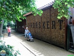 Roman Hynek, 29.07. 2010