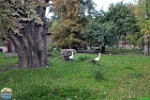 Alex Kantorovich, 27.09. 2014