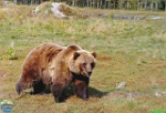 Archieve of Roman Hynek, cca 2009