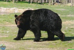 Archieve of Roman Hynek, cca 2009