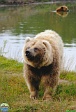 Archieve of Roman Hynek, cca 2009