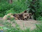 Roman Hynek, 30.07. 2010