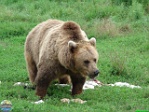 Roman Hynek, 30.07. 2010